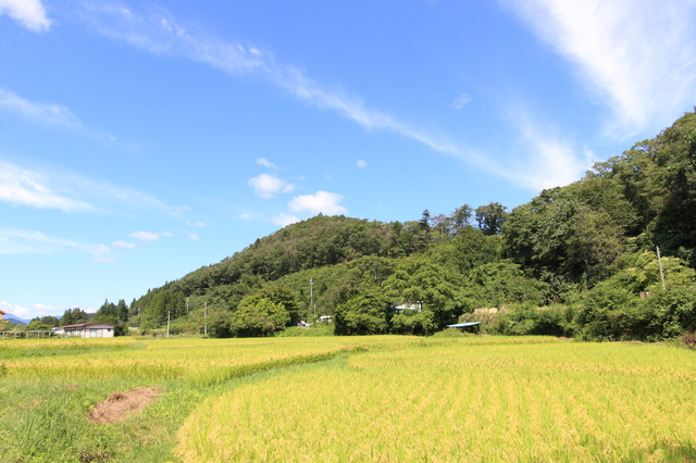 農地と山林